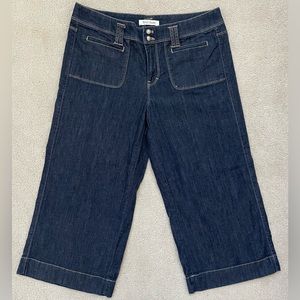 WHBM 10 Cropped Wide Leg Jeans